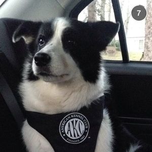 Meet your Posher, Shannon